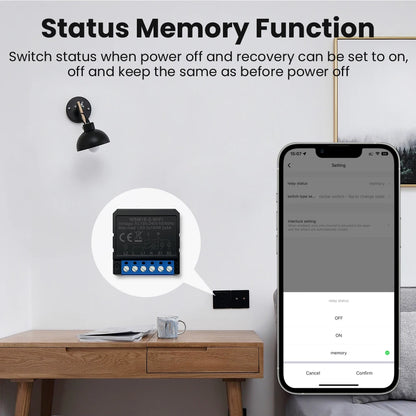Tuya Wifi Smart Home Relay Switch Module Work with APP Alexa,Google Home Voice Control