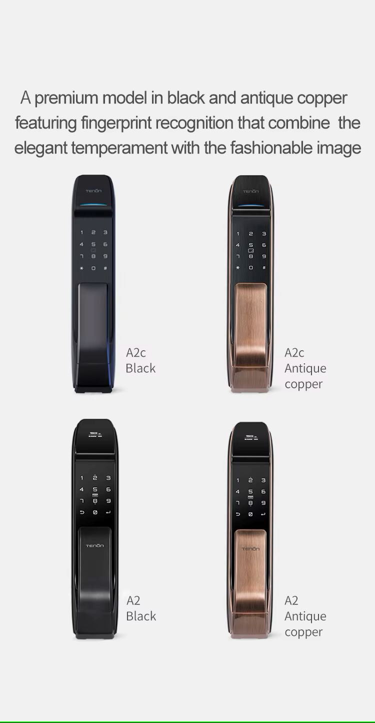 TENON A2 Push-Pull Automatic Biometric Fingerprint Door Lock