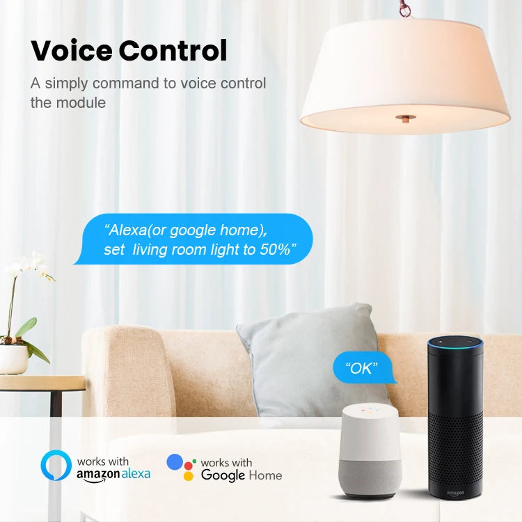 Wifi Dimmer Switch Module 2 Way Control Work With APP Alexa,Google Home
